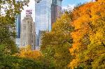 Fordham University New York Hotels - JW Marriott Essex House New York