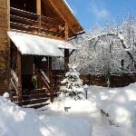 Guest accommodation in Suzdal 