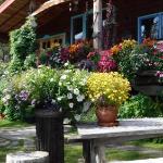 Brigittes Bavarian Bed und Breakfast