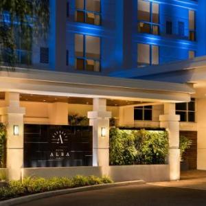 Amalie Arena Hotels - Hotel Alba Tampa Tapestry Collection By Hilton