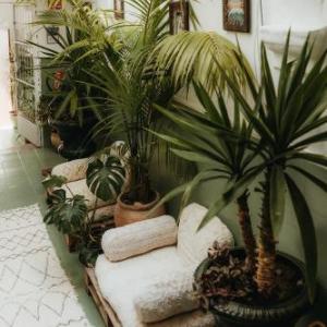 Hostal Africa