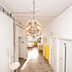 Loft Sen Pszczoły