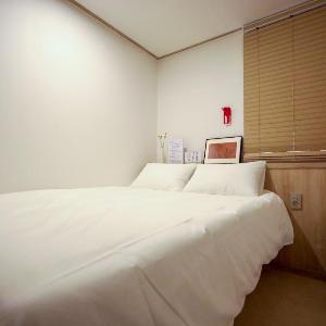 Manso Hostel in DDP