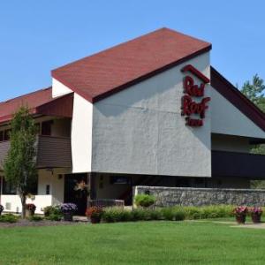 Hotels near The Backlot Entertainment Venue Akron - Red Roof Inn Buffalo Niagara Airport