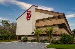 University Of Sarasota Florida Hotels - Red Roof Inn Tampa - Brandon