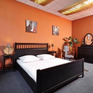 LaLeLu Hostel Dresden