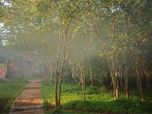 The Windflower Jungle Resorts & Spa Bandipur, Masinagudi