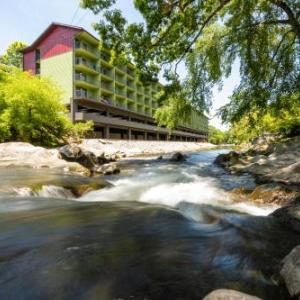 The Microtorium Pigeon Forge Hotels - Creekstone Inn