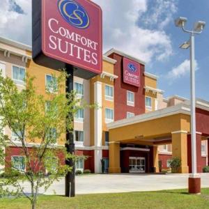 Comfort Suites Denham Springs