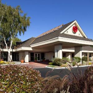 Treehouse Hotel Silicon Valley hotel photo