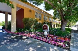 County Inn, Mountain View