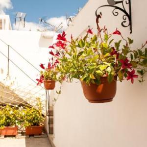 La Terrazza su Palermo