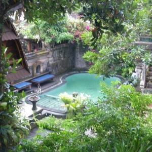 Sania's House