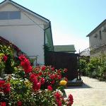 Guest House Kalinina Street 133