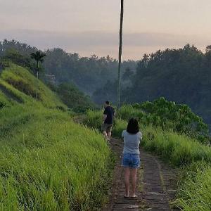 Ubud Paradise Villa