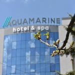 Aquamarine Hotel&Spa Kursk