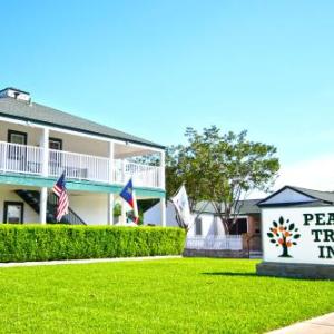 Hotels near The Backyard at Fritztown - Peach Tree Inn & Suites