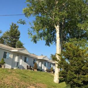White Birches Motel