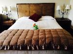 Martinborough New Zealand Hotels - Gateway Motor Inn