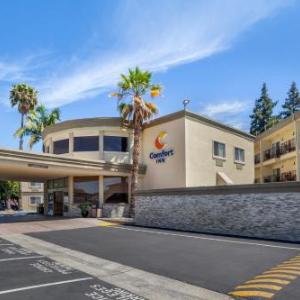 sunnyvale hotels palladium bay area silicon comfort inn valley near