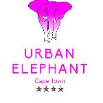 Urban Elephant Express The Flamingo Cape Town
