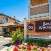 Hotels near Sonoma State University - Best Western Sonoma Valley Inn & Krug Event Center