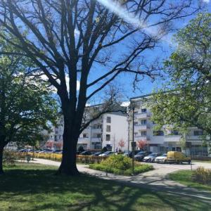 Apartamenty Platan - visitopl
