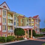 Emerald towers 206   1784246 Florida