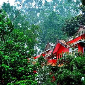 Tea Valley Resort