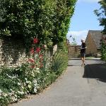 The Crewe Arms 