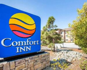 Comfort Inn, Marina