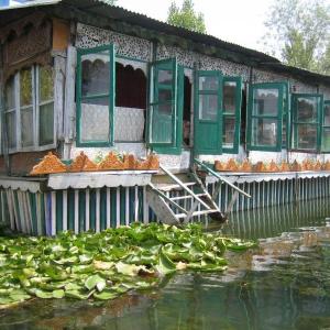 Island Hotel