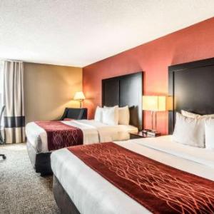 Hotels near Pickwick Theatre - Comfort Inn O'Hare - Convention Center