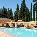Courtyard Sacramento Airport Natomas