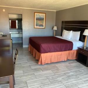 Hotels near Bee County Expo Center - Executive Inn & Suites Beeville