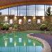 Rotorua International Stadium Hotels - Novotel Rotorua Lakeside