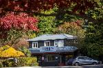 Glenorchy Otago New Zealand Hotels - Pinewood Lodge