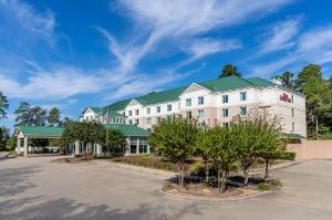 Hilton Garden Inn Houston/The Woodlands, Spring