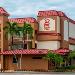 Artis Naples Hotels - Red Roof PLUS  & Suites Naples Downtown-5th Ave S