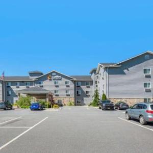 Comfort Inn & Suites Barnesville - Frackville