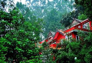 Tea Valley Resort, Munnar