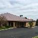 Quality Inn - Dundee