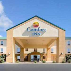 Norton Center for the Arts Hotels - Comfort Inn Lexington South