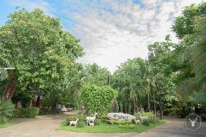 Maiyai Resort - Big Tree, Kamphaeng Phet
