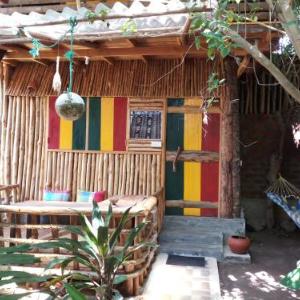 Chami's Place