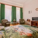 1 Room Apartment on Chaykovskogo Saint Petersburg