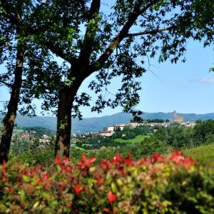 Agriturismo La Pietraia