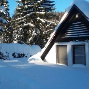 Chalet Karlov