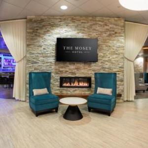 The Mosey Buffalo Williamsville Tapestry Collection Hilton