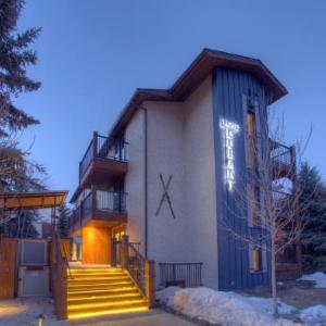 Hotels near Belly Up Aspen - Hotel Durant
